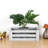Gracie Oaks Decorative Bin-828684858