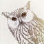 «The Intellectual Owl I», impression sur toile-29280636-74729860-74730388