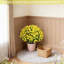 24 po Gloire matinale artificielle jaune avec eucalyptus, arrangement floral artificiel dans un pot noir-401407775