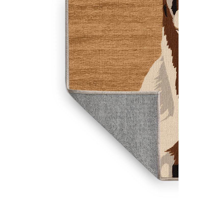  Tapis lavable Addax, Tapis de couloir 2 pi x 4 pi