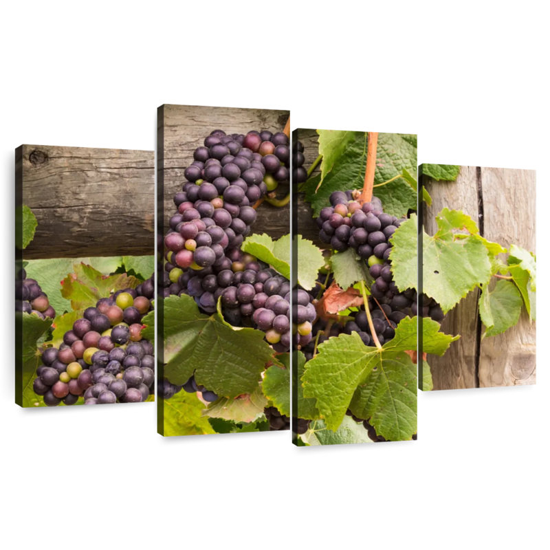 Yarlin Purple Pinot Grapes, 48" H x 75" W