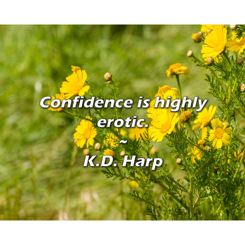 Citation artistique «Confidence is hautement érotique». Par K.D. Toile tendue Harp Gallery, H 48 po x l 33 po