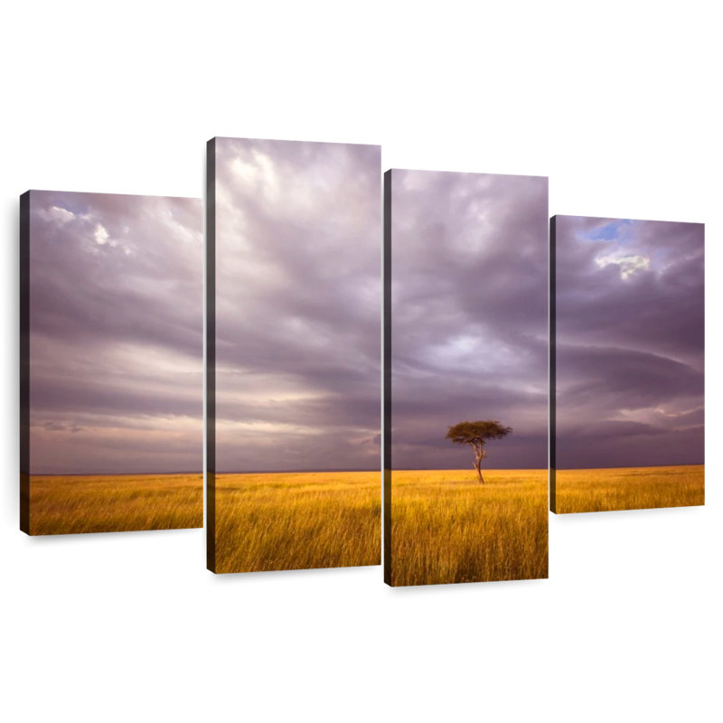 Alvord African Stormy Fields, 27" H x 43" W