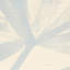 Sunlit Palm Sisal Wallpaper-58849749