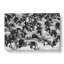 Flock Of Sheep Vol.2 - Wrapped Canvas-61877045