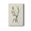 «Traditional Botanical IV», impression sur toile tendue-1109877876