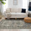 Tapis bleu Bungalow Bungalow Barwick-1536119928