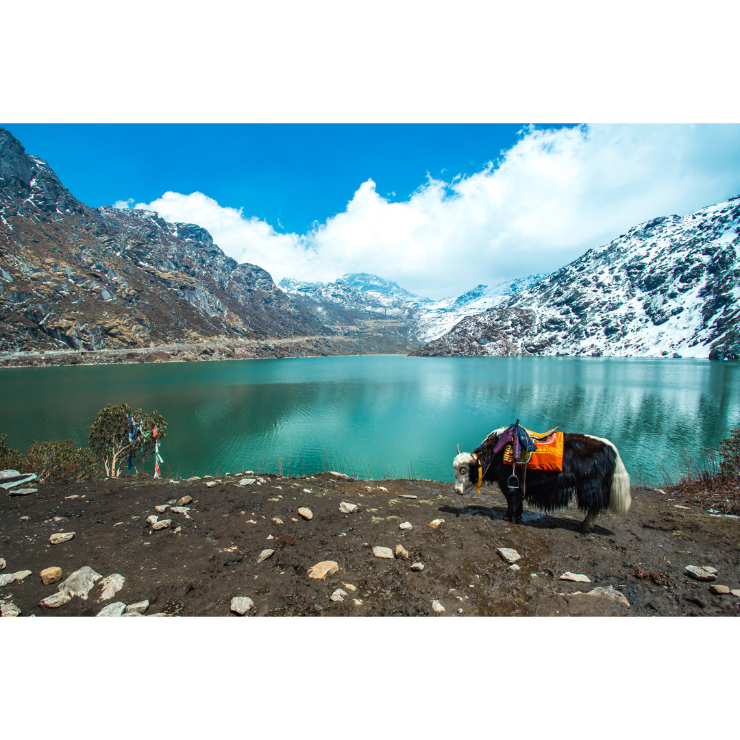 Leinwandbild Tsangmo Lake in Sikkim, India