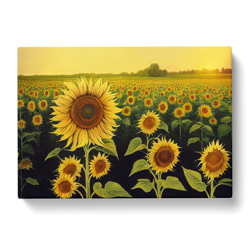 Enviable Sunflower Field - Wrapped Canvas, 50cm H x 76cm W x 3cm D