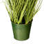 Herbe verte et marguerites artificielles en pot.-2003244727