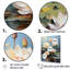 Lotus Dreams Amung The Lily Pads I-1797620149-1797620148