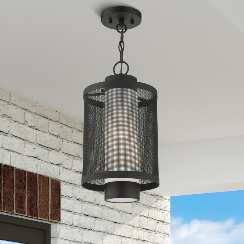 Lanterne suspendue d'extérieur Zebra, H 16,87 po x l 9 po x P 9 po, Noir texturé