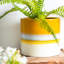 Nicola Spring - Reactive Glaze Plant Pots-63880889-63880890