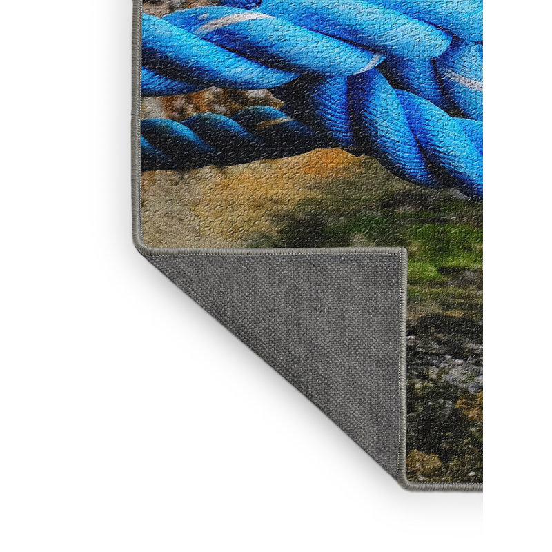 Tapis bleu corde, Rectangle 2 pi x 5 pi
