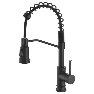Robinet de cuisine avec douchette extractible et robinets d'évier de cuisine à poignée simple en acier inoxydable noir