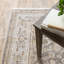 Atherine Indoor Rug-1609882470