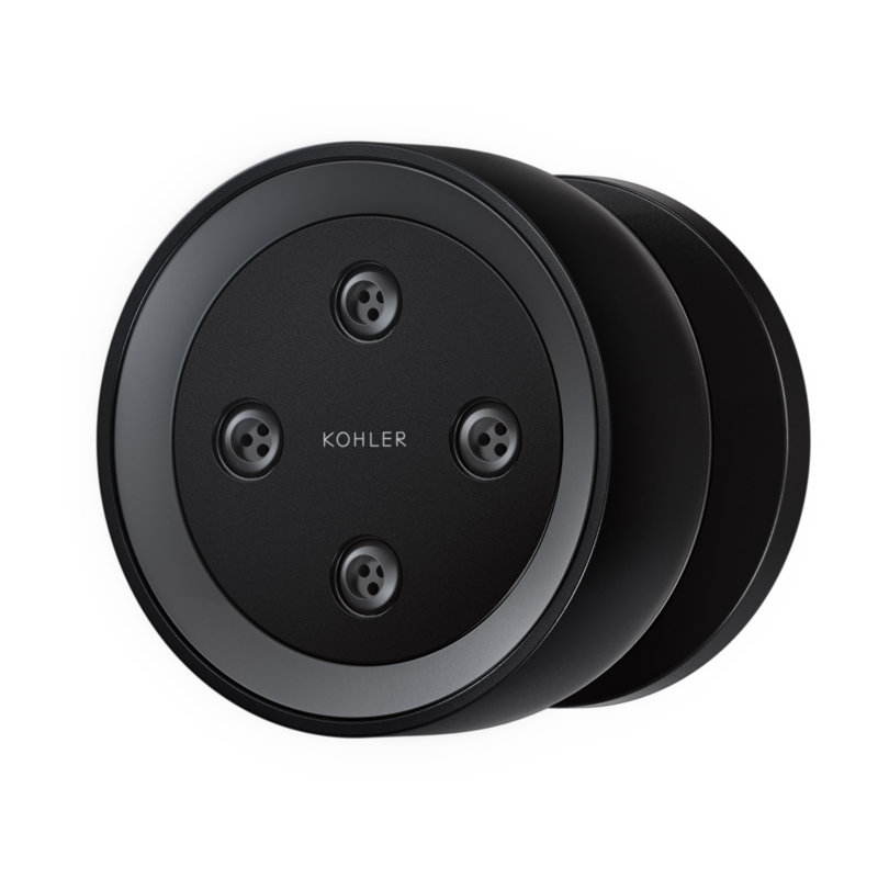 Statement Round Adjustable 2.5 Gpm Body Spray, Matte Black