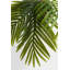 Deco Plant Palm Tree 190cm