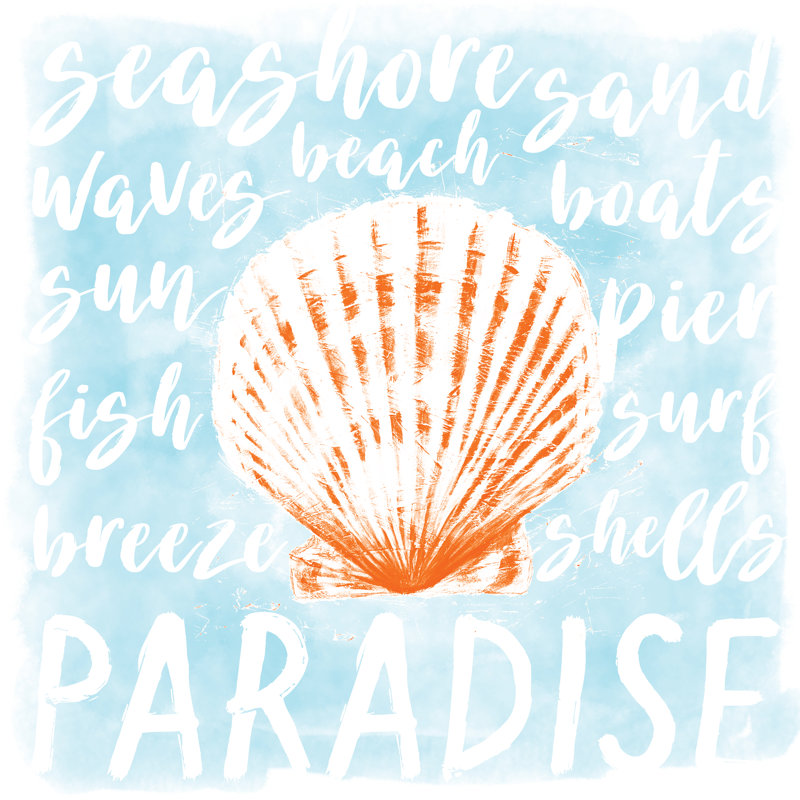 Beach Words Shell - Wrapped Canvas Print, 30cm H x 30cm W x 3.8cm D