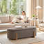 Banc de rangement rembourré 51,2 po-943135541