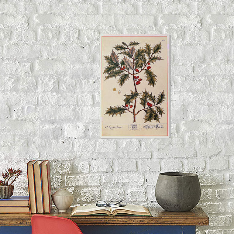 Elizabeth Blackwell - Print on Canvas, 152.5 cm H x 101.5 cm W, Brown Floater Framed