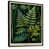 Black Floater Framed Canvas