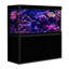 Réservoir d'aquarium rectangulaire-58890301-59294370