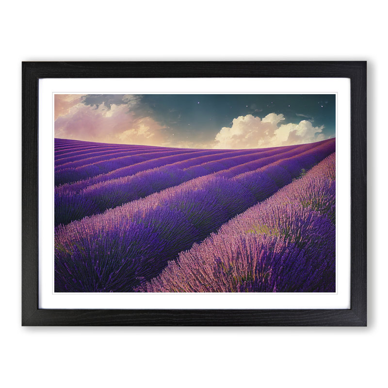 Contemporary Lavender Flower Field - Framed Print, Black, 46cm H x 64cm W x 2cm D