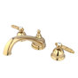 Polished Brass