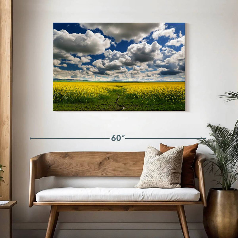 Alvord, nuages au-dessus des champs, H 30 po x l 45 po