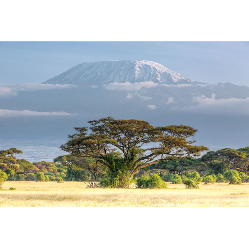 Mt Kilimanjaro, Clouds And Acacia - In The Morning by 1001slide - No Frame Print on Canvas, 30cm H x 46cm W
