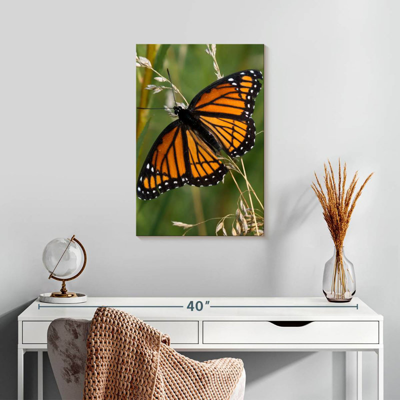 Brampt Monarch Butterfly Up Close, 24" H x 16" W