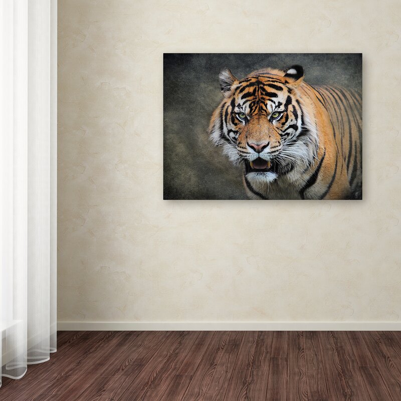 Trademark Art Jai Johnson Bengal Tiger On Canvas by Jai Johnson Print ...