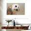 Hibou Brampt-107679677