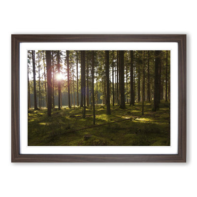 Single Picture Frame Print