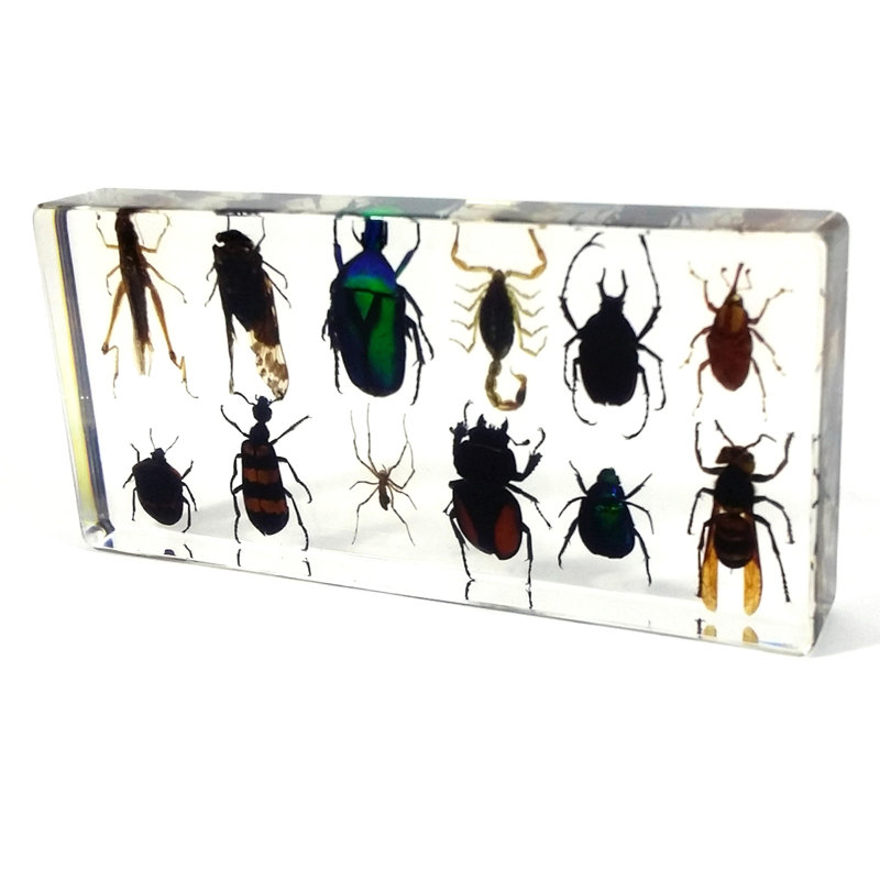 Raley Animals Figurines & Sculptures