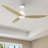 52-Inch Ceiling Fan without Light