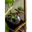 Shelf Cesaro 90x170cm