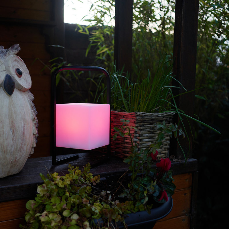 Plagido 29cm Battery Powered Integrated LED Color Changing Outdoor Table Lamp