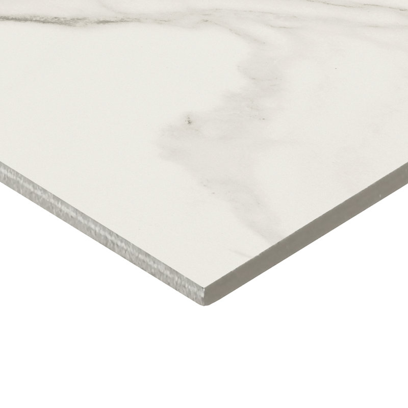  Carreau de sol en porcelaine mate 12 po x 12 po Daltile Perpetuo (13 pièces par carton) (12,22 pieds carrés par carton)