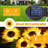 Solar Outdoor Garden Lights LED Stake Waterproof Pathway Light for Yard Patio Landscape Decorations
