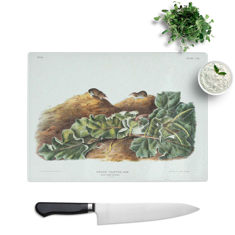 Tempered Glass Least Shrew by J.W. Audubon Chopping Board, 28.5 cm x 20 cm