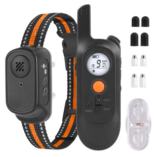Collier de dressage pour chien