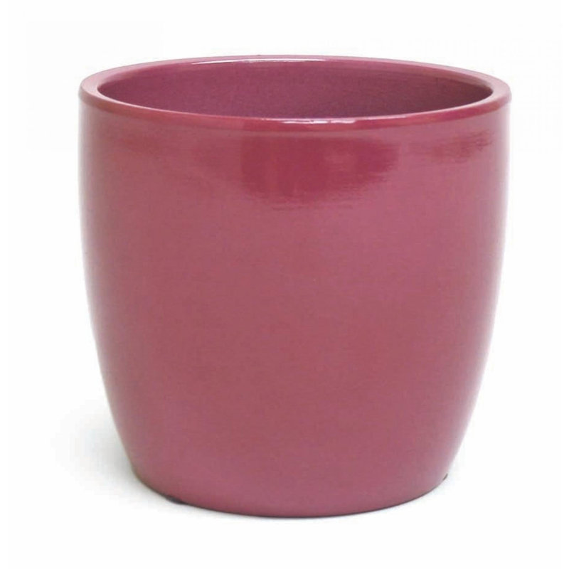 Pot de couleur fuchsia