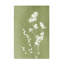 Art sur toile, "ologia bolini "-105647108