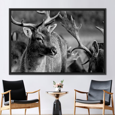 Stunning Deer Wildlife Wall Art Poster - Ideal for Loft Decor and Animal Lovers
