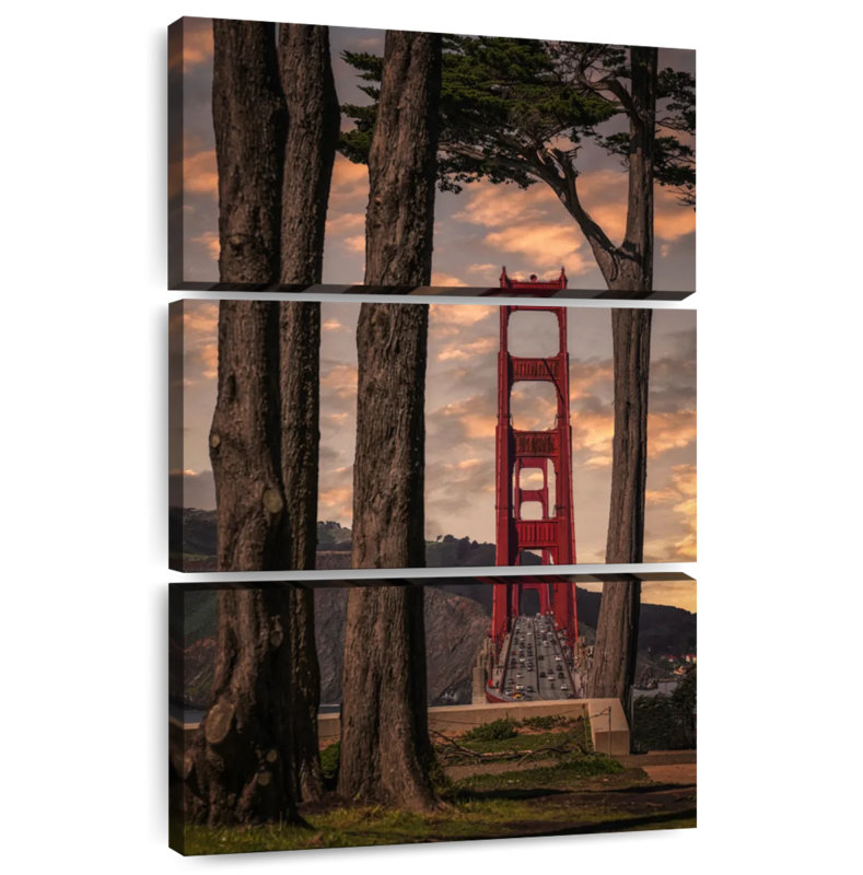 Lilie Golden Gate Through Trees
