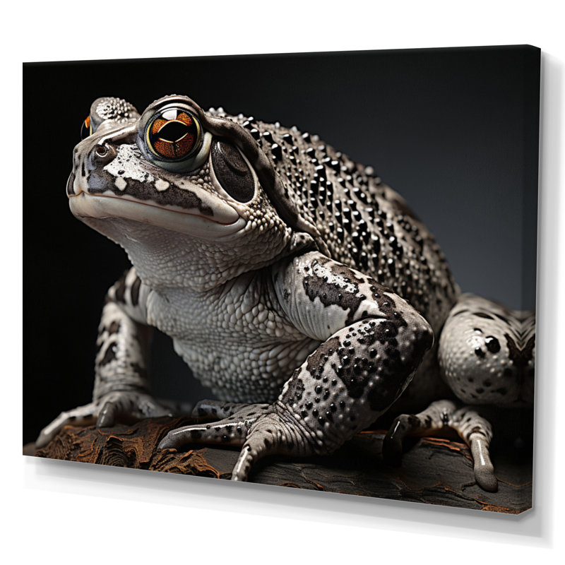 «Frog Portrait I», reproduction d'art sur toile, Toile tendue, H 24 po x l 32 po x P 1 po