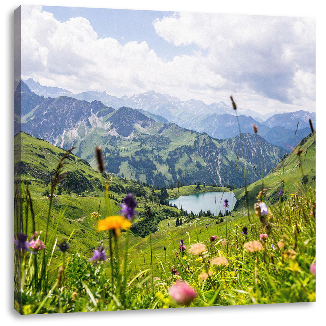 Leinwandbild Wiesenblumen in den Bergen