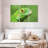 Green Lizard Closeup-373401786
